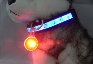 宠物吊坠锌合金 时尚与实用的完美结合，为爱宠添彩