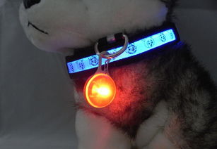 炫酷夜光新宠 LED发光宠物饰品全攻略