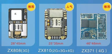 十年匠心，一宠相随 电子宠物领域的GPS先行者